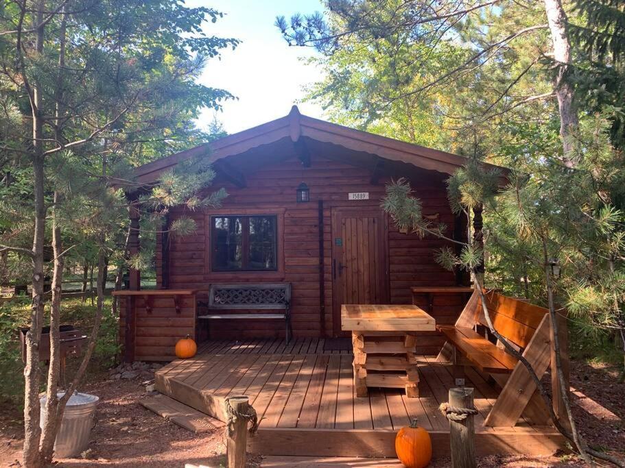Honeybear Hideaway Cabin Hayward Exterior foto