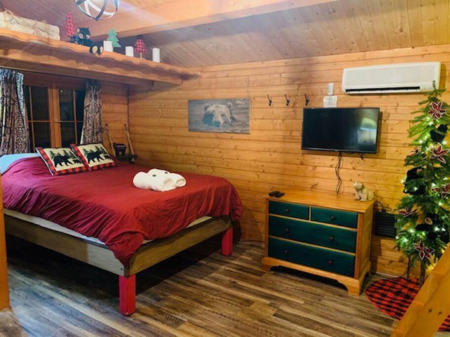 Honeybear Hideaway Cabin Hayward Exterior foto