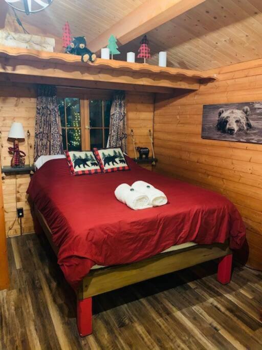 Honeybear Hideaway Cabin Hayward Exterior foto