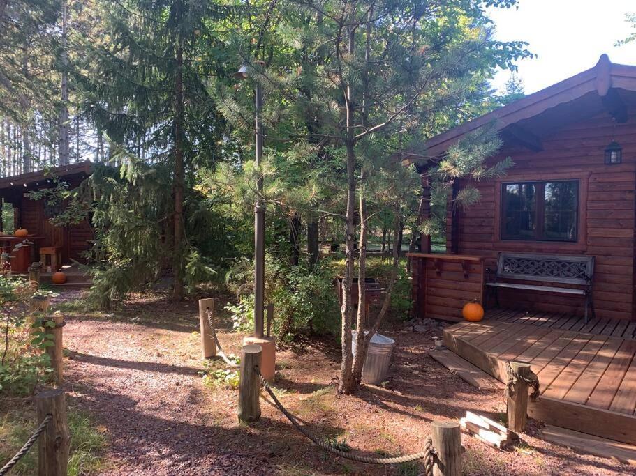 Honeybear Hideaway Cabin Hayward Exterior foto
