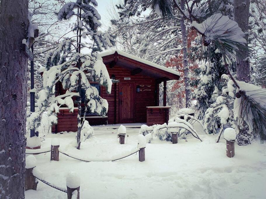 Honeybear Hideaway Cabin Hayward Exterior foto