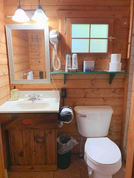 Honeybear Hideaway Cabin Hayward Exterior foto