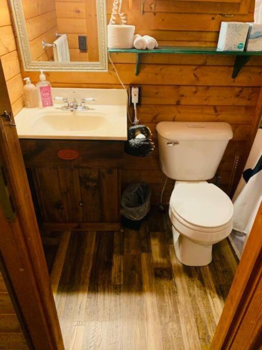 Honeybear Hideaway Cabin Hayward Exterior foto
