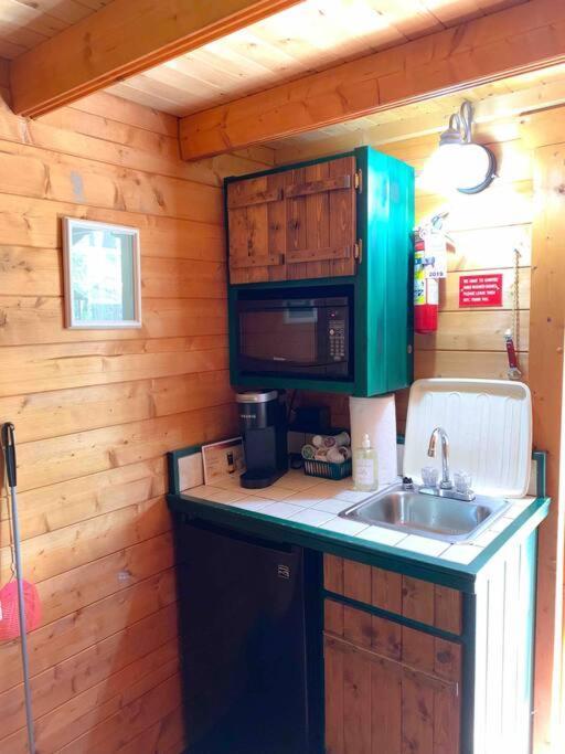 Honeybear Hideaway Cabin Hayward Exterior foto