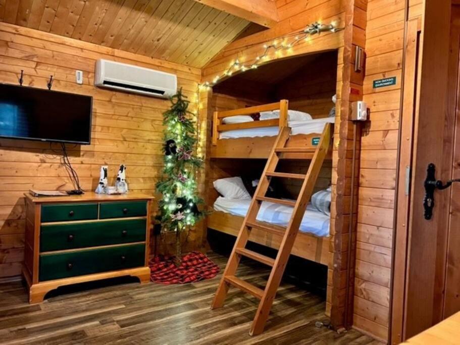 Honeybear Hideaway Cabin Hayward Exterior foto